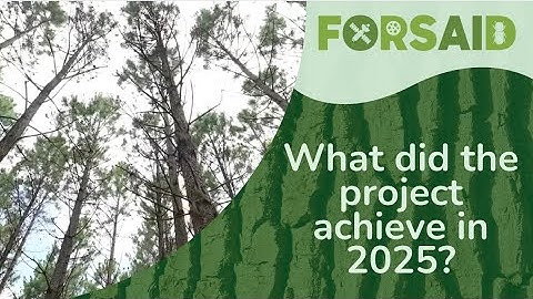 FORSAID 2025 Highlights Video