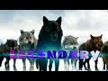 Twilight Wolves ~ Legendary (Skillet)