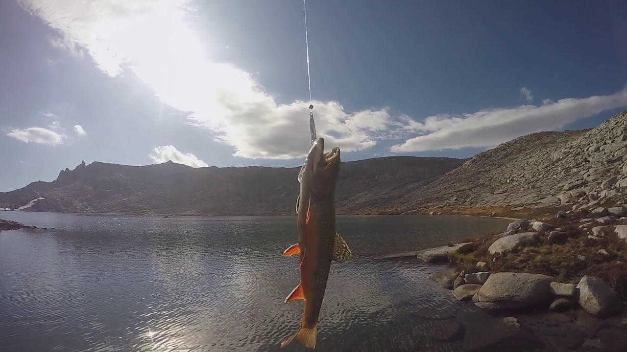 fishingnapots on white moose lake fishing planet fishingnapots on white moose lake fishing planet