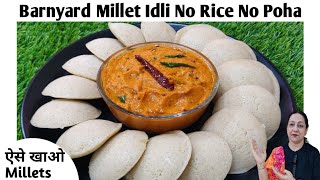 Millet Idli Recipe | Barnyard Millet Idli | Gluten Free Soft Idli | Diabetic Friendly Recipe