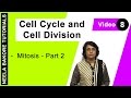 Cell Cycle & Cell Division - Mitosis - Part 2