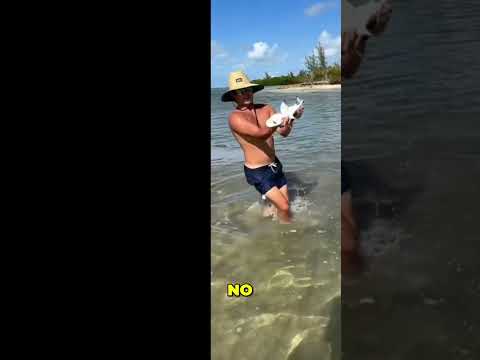 He Chased Down a Shark and Caught It With His BARE Hands 🦈😱
