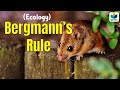 Bergmann's Rule | CSIR NET| ECOLOGY