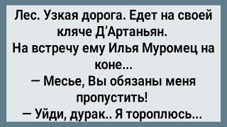 Как Илья Муромец с Д’Артаньяном Дорогу Делили! Сборник Веселых Анекдотов! Юмор!