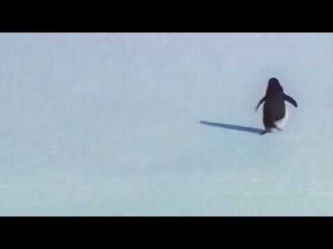 Иногда бывает так