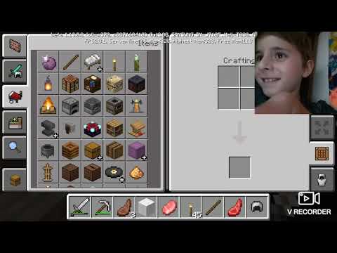 მაინქრაფთი ნიკასთან ერთად