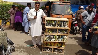 Birds Market Lalukhet Sunday Video Latest Update 8-5-22 in Urdu\/Hindi