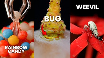 Macro ASMR Close-Up Journey Through Everyday Objects