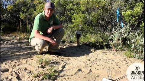 Remote-sensing cameras (Super Grid) Explained