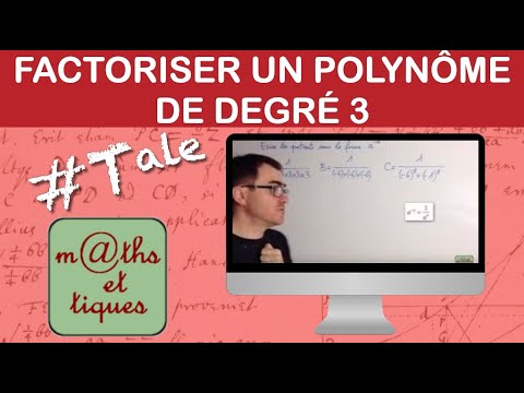 Vidéo: Pi est-il un polynôme ?