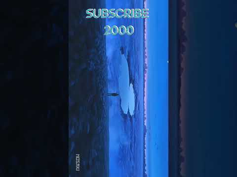 hq2.jpg?sqp=-oaymwEoCOADEOgC8quKqQMcGADwAQH4AbYIgAKAD4oCDAgAEAEYFyBFKH8wDw==u0026rs=AOn4CLCpF2np7nUNVMxfZ4i74Quwx_28mw