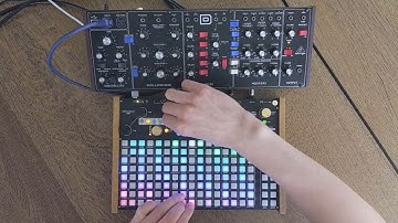 Synthstrom Deluge + Behringer Model D live looping