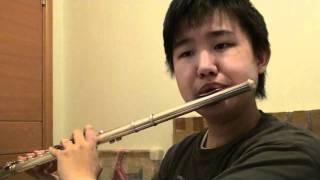 Video thumbnail of "A Whole New World - Aladdin - Flute Cover"