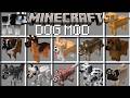 Minecraft NEW DOG MOD / Spawn All Dogs In Dog School Mod