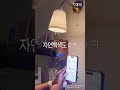 전구랑 춤 췄더니 고양이가 진짜 잘 노네ㅋ 이럼 | Tapo L430P