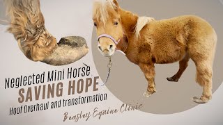NEGLECTED mini horse -- Hoof transformation for Hope -- YOU WON'T BELIEVE THE END!!
