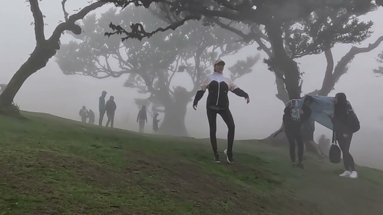 Madeira 02 Fanal und Paul da Serra