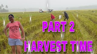 PART 2 HARVEST TIME