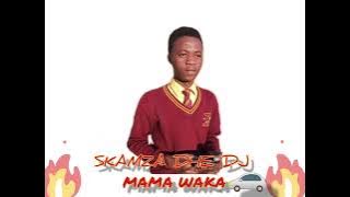 SKAMZA DHE DJ - TABA TXAKA KE MATHATA - NEW HIT 2022[official audio] @skamzadhedj-topic8837