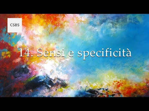 Video: Come usare le specificità in una frase?