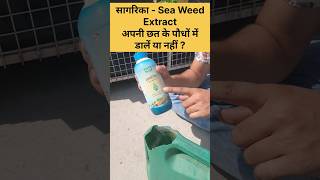 Sagarika - Sea Weed Extract Usage, Benefits, Dose सगरक क पध म डलन क नकसन