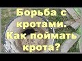 Борьба с кротами на участке, на даче, на огороде. Как поймать крота? Ловушка для крота