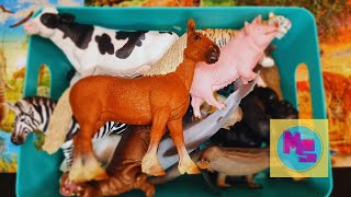 Learning Animal Names with Toys