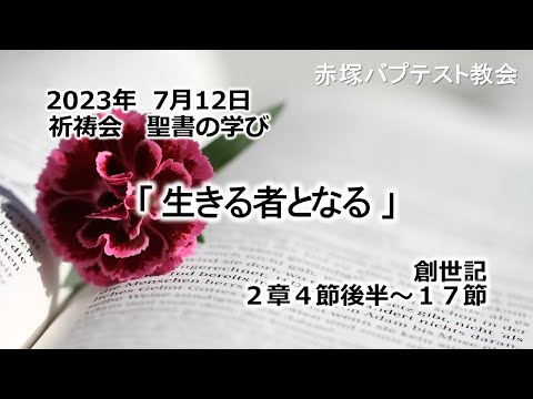 2023年7月12日(水)赤塚教会祈祷会　聖書の学び「生きる者となる」創世記2章4節後半～17節