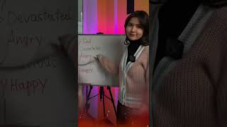 Very Sad Very Angry Very Happy