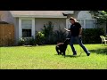 Maximus 1st day obedience academy Maximus 1st day obedience academy