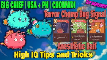 TERROR CHOMP BUG SIGNAL AXIE TEAM TOP RANK BIG CHIEF TIPS AND TRICKS ANESTHETIC BAIT HIGH WIN RATE