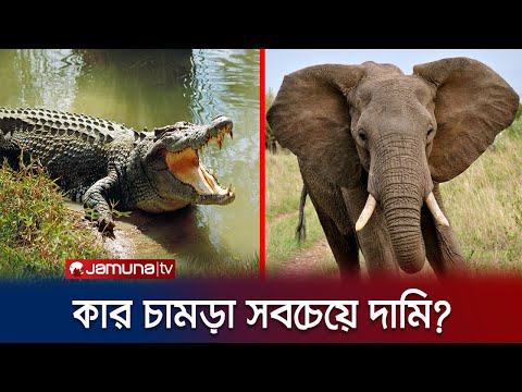 ভিডিও: কোন প্রাণীর চারগুণ আছে?