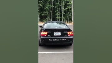 chop chop 🎶 🔥 #shorts #cam #mustang