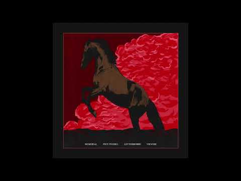 Demersal — VIENTRE - Nacido Para Morir