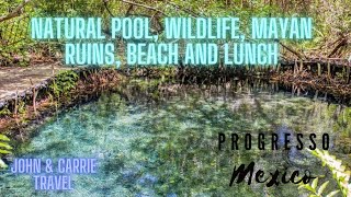 Natural Pool, Wildlife, Mayan Ruins, Beach and Lunch - Progresso Mexico Excursion