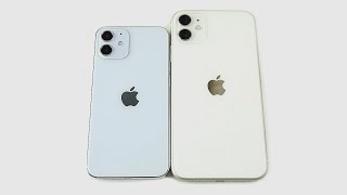 iPhone 12 Mini Size vs iPhone 11