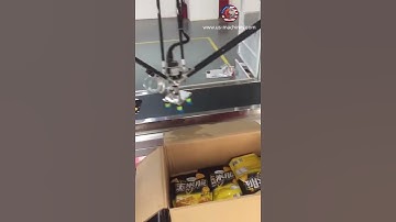 Robot hand food bag pouch sorting picking cartoning machine bag encasing line with viusal reading sy