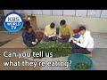 Can you tell us what they're eating? [2 Days & 1 Night Season 4/ENG,MAL,CHN/2020.12.06]