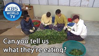 Can you tell us what they're eating? (2 Days & 1 Night Season 4) | KBS WORLD TV 201206