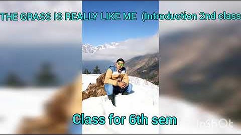 The grass is really like me - Introduction 2nd class