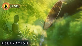 🔴 Relaxing Music 24\/7, Stress Relief Music, Sleep Music, Meditation Music, Study, Calming Music