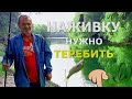 ТОП 1 ПОКЛЕВКА ДНЯ #порыбачил
