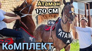 КОМПЛЕКТ АТТАР 😱 АТАМАН менен НУРКАШКА УЯШ КЫЛБАЙТ