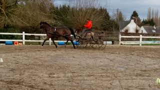 VID 20190305 162554 Trim Trim 2
