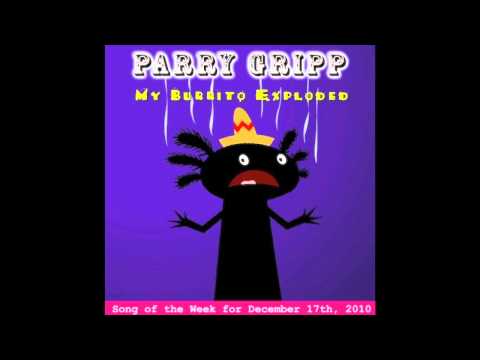 Infinite stratos wiki ichika