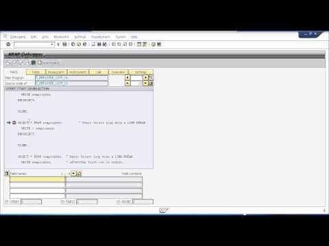 SAP ABAP Training - Debugging Your Programs Part 1