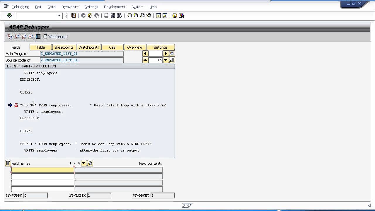 SAP ABAP Training - Debugging Your Programs Part 1 - YouTube