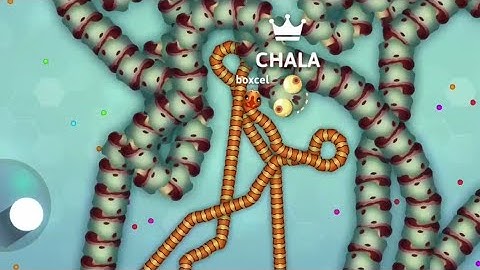 This Tiny Snake Trying To Kill Me? Snake.io 🐍 Epic Snake.io Gameplay #snake #chala