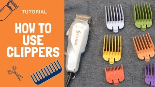 How to Use Clippers - Haircuts at Home screenshot 4