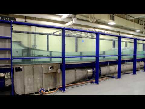 Stony Brook University Piston Wave Tank with Integrated Flow